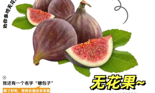 小活络丸禁忌人群有哪些-小活络丸禁忌是什么-专业小活络丸的功效是什么平台-小活络丸的不良反应